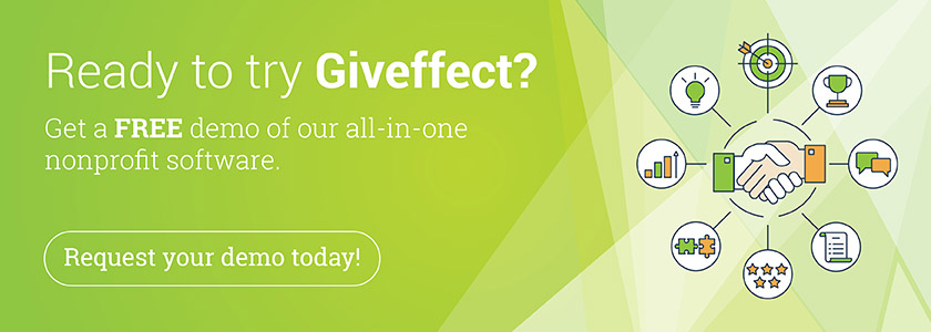 Giveffect demo, Giveffect software system